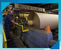 Jackson Paper Sylva 200x166